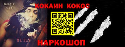 кокс Кингисепп