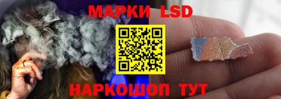 кокс Кингисепп