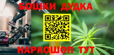 кокс Кингисепп