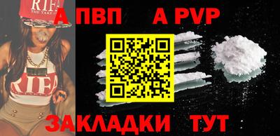 кокс Кингисепп