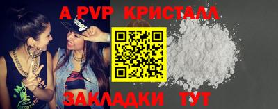 кокс Кингисепп