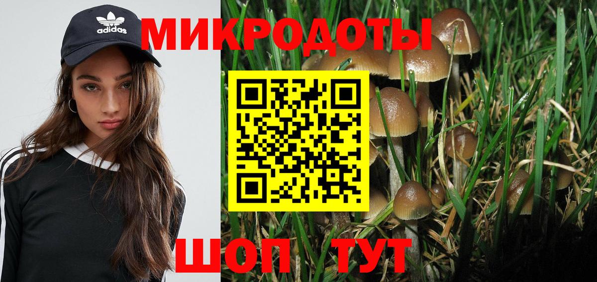 Псилоцибиновые грибы мухоморы  купить   Вход с VPN  Советский  Псилоцибиновые грибы GOLDEN TEACHER 